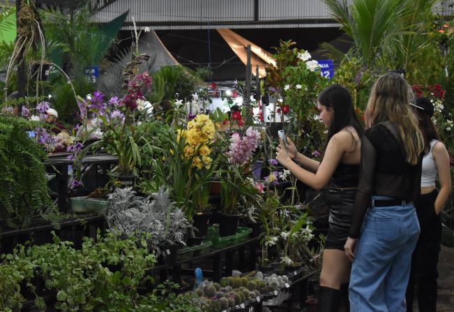52ª Exapit terá exposição de plantas, flores e frutas exóticas