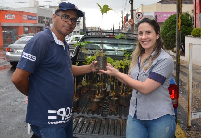 Prefeitura distribui mudas em comemoração ao Dia da Árvore