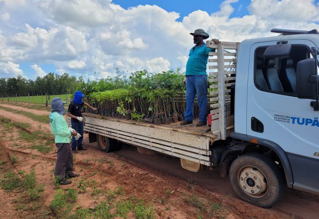 Meio Ambiente plantará 12 mil mudas em terreno do bairro Dom Quixote
