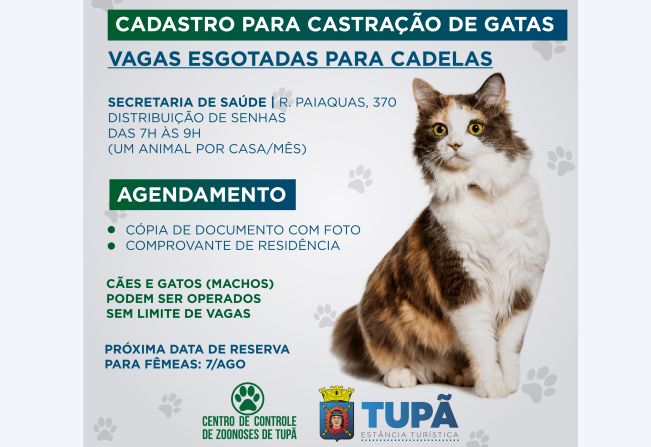 Cota mensal para castração gratuita de cadelas termina em apenas um dia