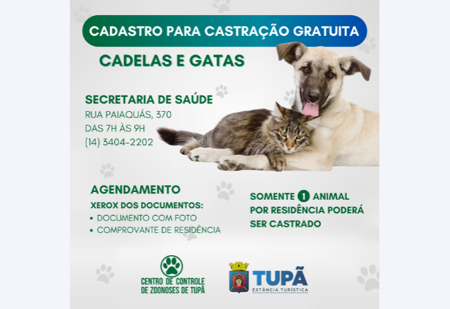Prefeitura amplia números para castrações de gatas e cadelas