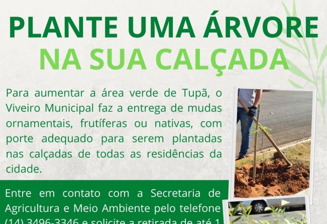 Prefeitura registrou baixo número de solicitações para plantio de mudas