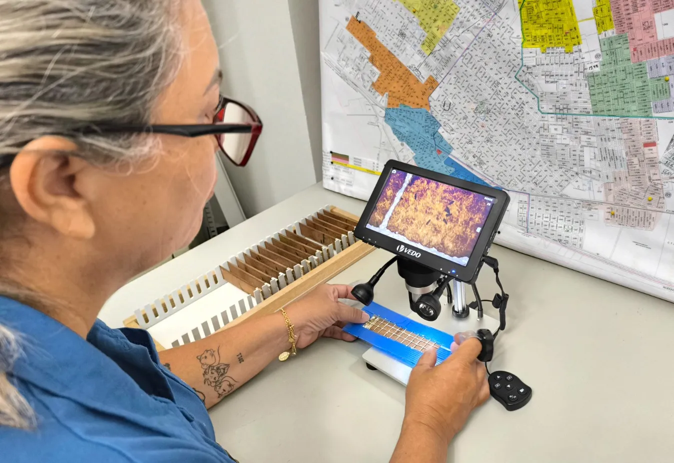 Ovitrampas registram redução no 20º ciclo de monitoramento do Aedes aegypti