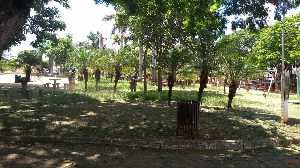 Serviços de roçada e limpeza continuam no município