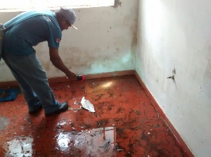Eliminar focos é a principal forma de combater o mosquito