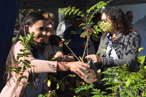 Prefeitura distribui mudas para população no Dia do Meio Ambiente