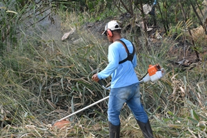 Prefeitura alerta sobre roçada em casas e terrenos baldios