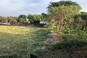 Limpeza de terrenos do Jardim América começa hoje