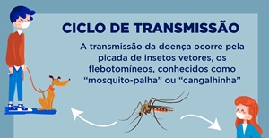 Prefeitura realiza ações na Semana de Prevenção da Leishmaniose Visceral