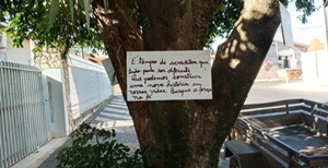 Projeto Poesia nas Árvores leva poesias e pensamentos literários pela cidade