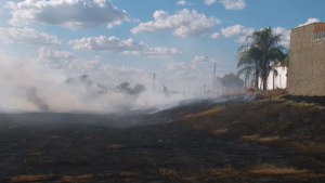 Prefeitura pede que população denuncie responsáveis por queimadas