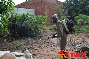 Prefeitura prepara novas ações para erradicação do Aedes aegypti