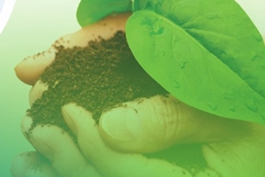 Edição dessa semana será em comemoração a “Semana do Meio Ambiente”