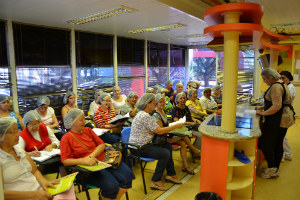 Participantes da modalidade Diabetes dizem que estão aprendendo se alimentar melhor