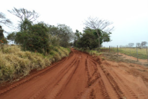 Prefeitura continua recuperando estradas rurais