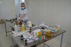 Prefeitura abre inscrições para castração gratuita de 600 animais